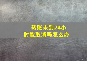 转账未到24小时能取消吗怎么办