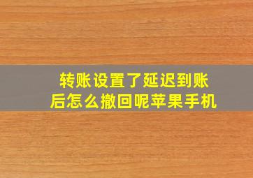 转账设置了延迟到账后怎么撤回呢苹果手机