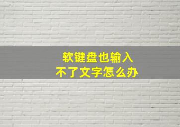 软键盘也输入不了文字怎么办