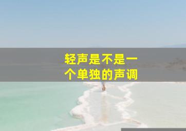 轻声是不是一个单独的声调