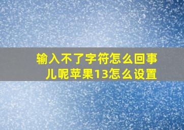 输入不了字符怎么回事儿呢苹果13怎么设置