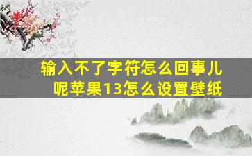 输入不了字符怎么回事儿呢苹果13怎么设置壁纸