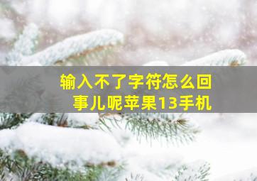 输入不了字符怎么回事儿呢苹果13手机