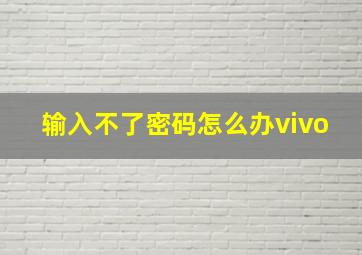 输入不了密码怎么办vivo