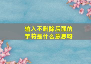 输入不删除后面的字符是什么意思呀