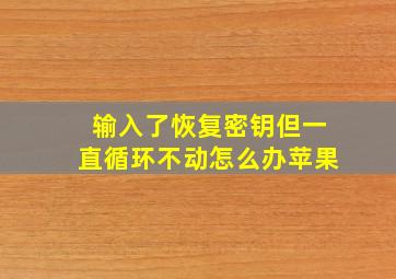 输入了恢复密钥但一直循环不动怎么办苹果