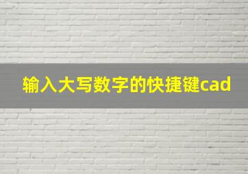 输入大写数字的快捷键cad