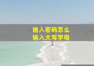 输入密码怎么输入大写字母