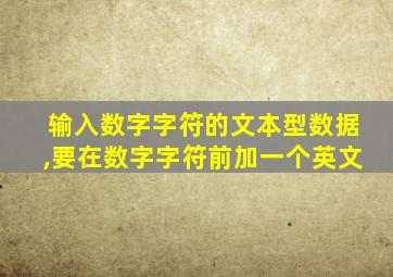 输入数字字符的文本型数据,要在数字字符前加一个英文