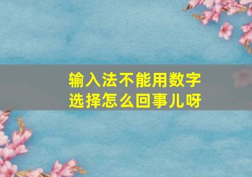 输入法不能用数字选择怎么回事儿呀