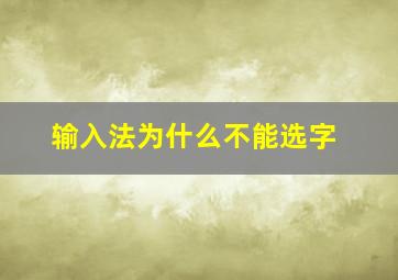 输入法为什么不能选字