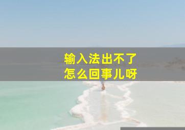 输入法出不了怎么回事儿呀