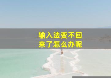 输入法变不回来了怎么办呢