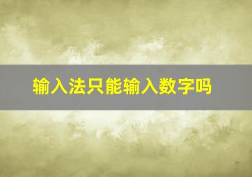 输入法只能输入数字吗