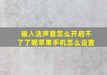 输入法声音怎么开启不了了呢苹果手机怎么设置