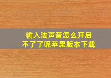 输入法声音怎么开启不了了呢苹果版本下载