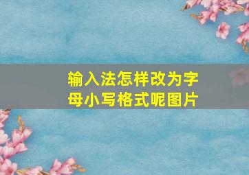 输入法怎样改为字母小写格式呢图片