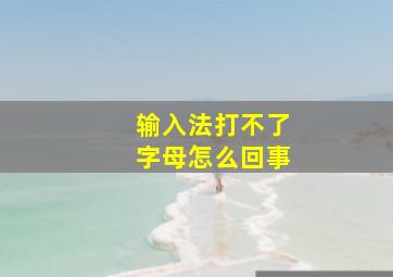 输入法打不了字母怎么回事