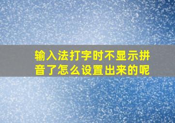 输入法打字时不显示拼音了怎么设置出来的呢