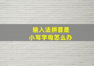 输入法拼音是小写字母怎么办