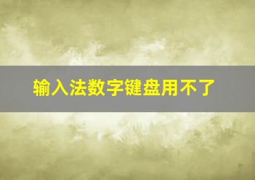 输入法数字键盘用不了