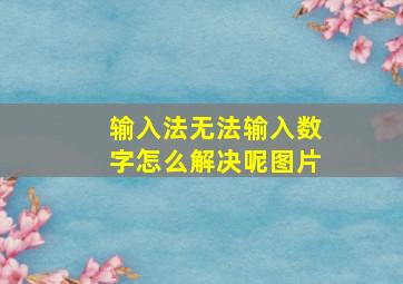 输入法无法输入数字怎么解决呢图片