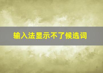 输入法显示不了候选词