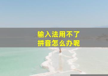 输入法用不了拼音怎么办呢