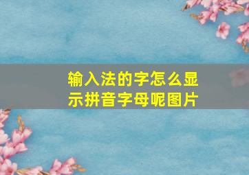 输入法的字怎么显示拼音字母呢图片