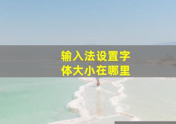 输入法设置字体大小在哪里