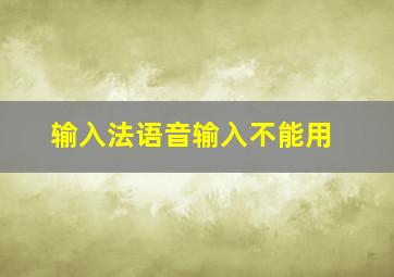 输入法语音输入不能用