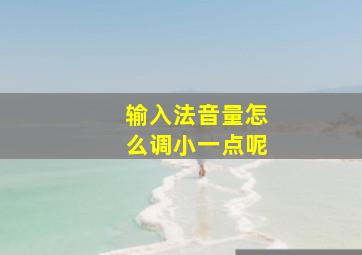 输入法音量怎么调小一点呢