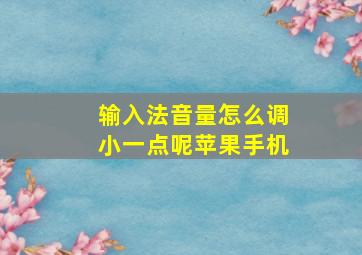 输入法音量怎么调小一点呢苹果手机