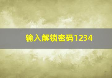 输入解锁密码1234