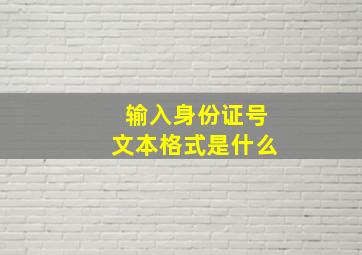 输入身份证号文本格式是什么