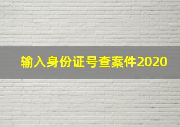 输入身份证号查案件2020