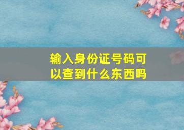 输入身份证号码可以查到什么东西吗