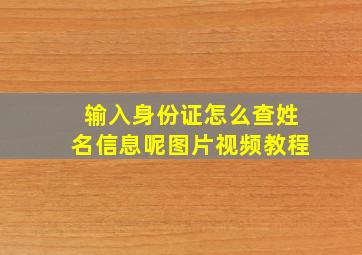 输入身份证怎么查姓名信息呢图片视频教程