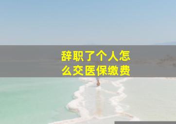 辞职了个人怎么交医保缴费