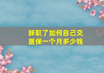 辞职了如何自己交医保一个月多少钱