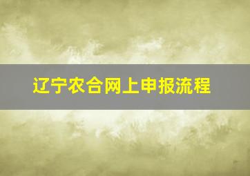 辽宁农合网上申报流程