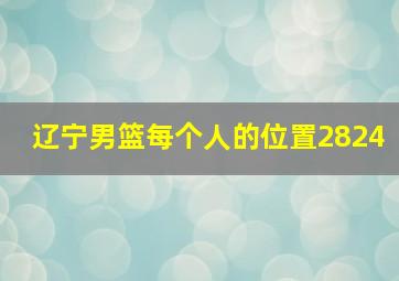 辽宁男篮每个人的位置2824