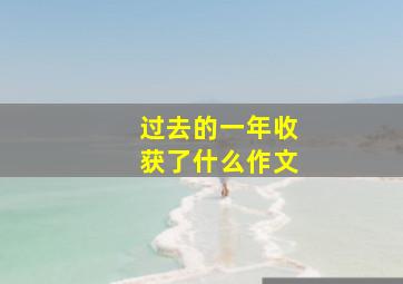 过去的一年收获了什么作文