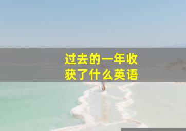 过去的一年收获了什么英语