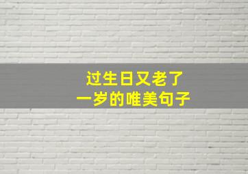 过生日又老了一岁的唯美句子