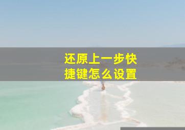 还原上一步快捷键怎么设置