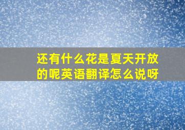 还有什么花是夏天开放的呢英语翻译怎么说呀