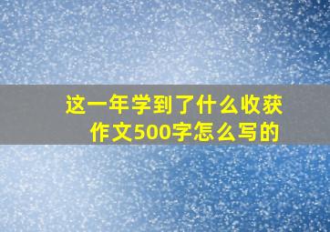 这一年学到了什么收获作文500字怎么写的