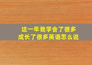 这一年我学会了很多成长了很多英语怎么说