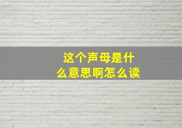 这个声母是什么意思啊怎么读